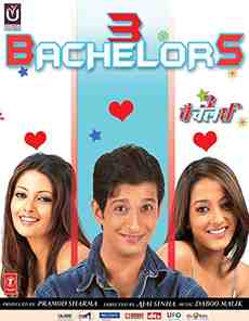 3 Bachelors (2012)