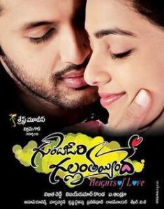 Gunde Jaari Gallanthayyinde (2013)