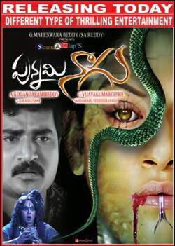 Punnami Naagu (2009)