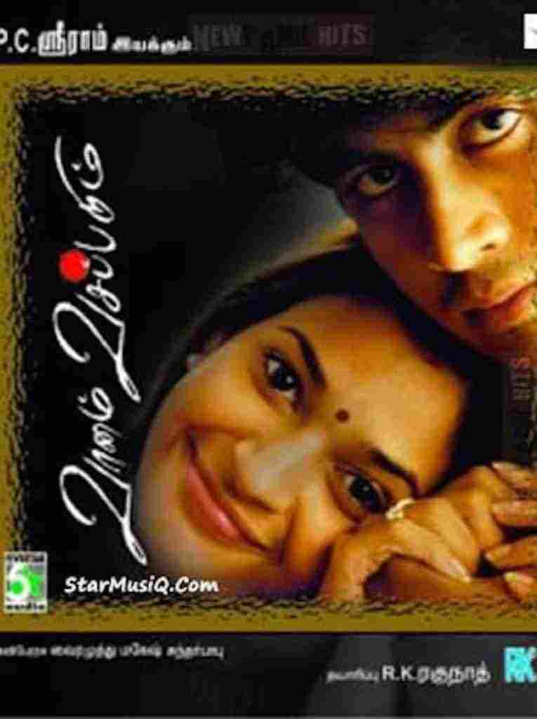 Vaanam Vasappadum (2004)