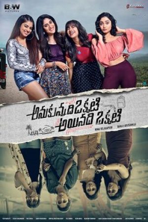 Anukunnadi_Okati_Ayinadi_Okati_Poster