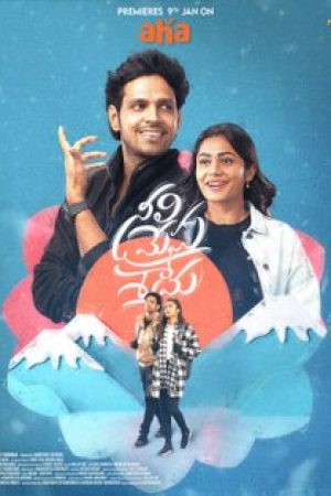 Neeli_Megha_Shyama_Poster