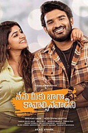 Nenu_Meeku_Baaga_Kavalsinavaadini_Poster