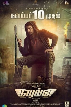 Raid__Poster