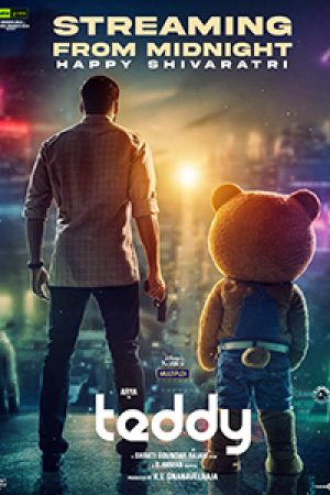 Teddy__Poster