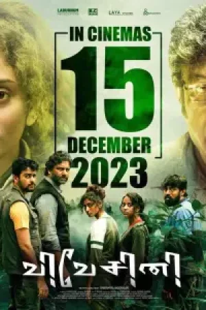 Vivesini_Poster